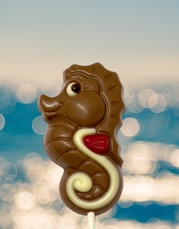 Seahorse Chocolate Lollipop