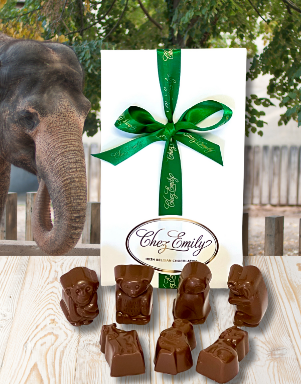 Zoo Animals Praline Gift Box