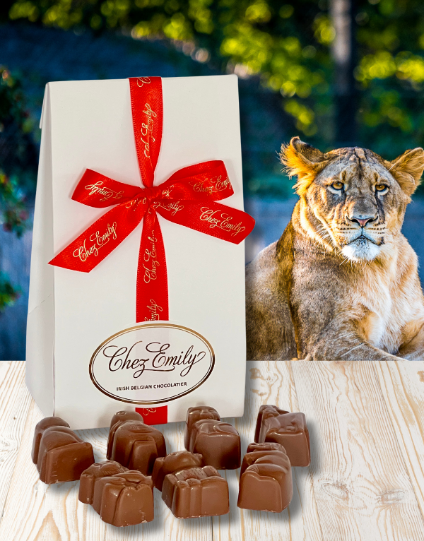 Zoo Animals Caramel Gift Box